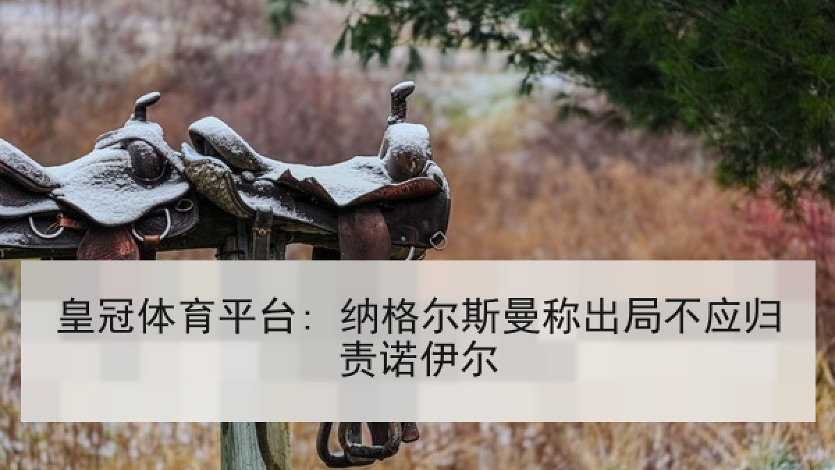 皇冠体育平台: 纳格尔斯曼称出局不应归责诺伊尔